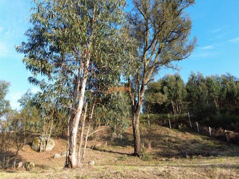 Terreno  Venda em Nogueiró e Tenões,Braga