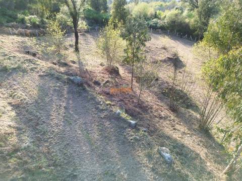 Terreno  Venda em Nogueiró e Tenões,Braga