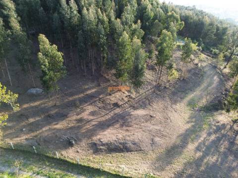 Terreno  Venda em Nogueiró e Tenões,Braga