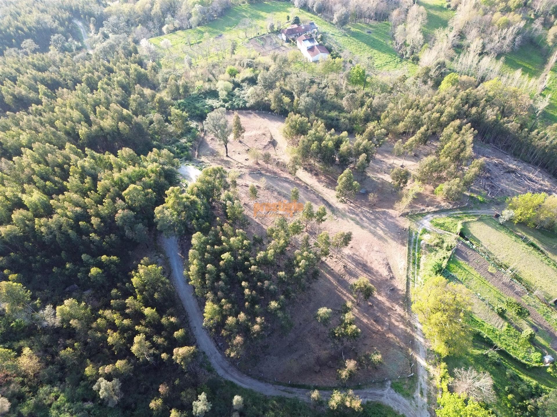 Terreno  Venda em Nogueiró e Tenões,Braga
