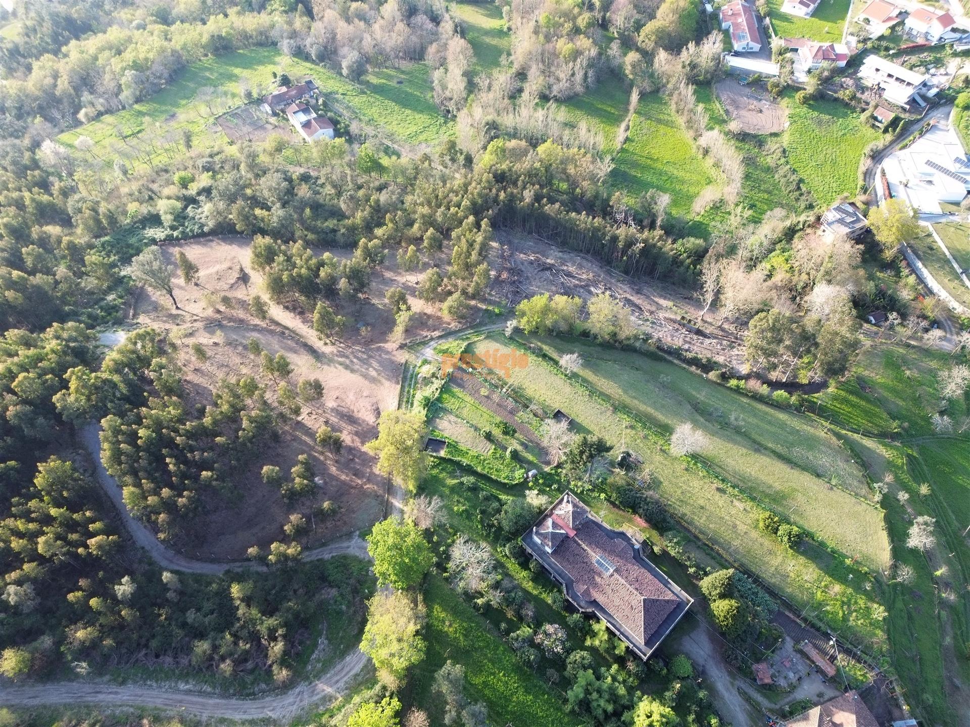 Terreno  Venda em Nogueiró e Tenões,Braga