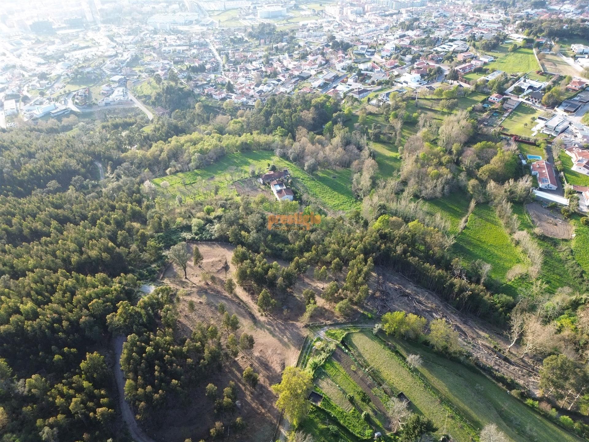 Terreno  Venda em Nogueiró e Tenões,Braga
