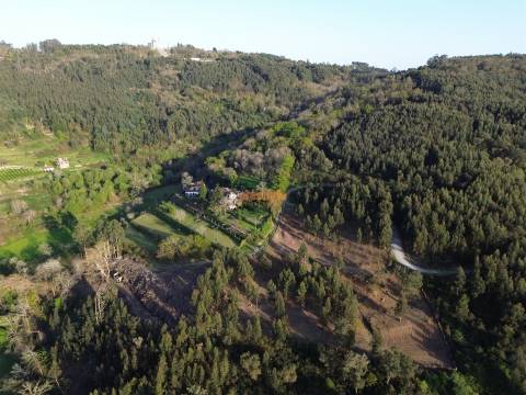 Terreno  Venda em Nogueiró e Tenões,Braga