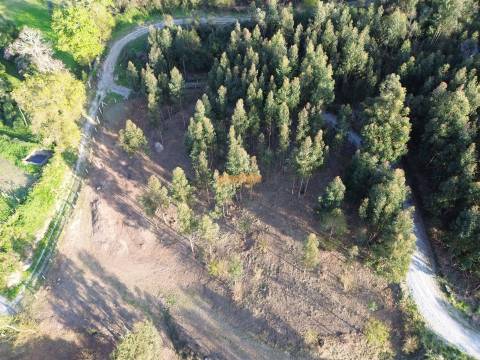 Terreno  Venda em Nogueiró e Tenões,Braga