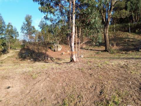 Terreno  Venda em Nogueiró e Tenões,Braga