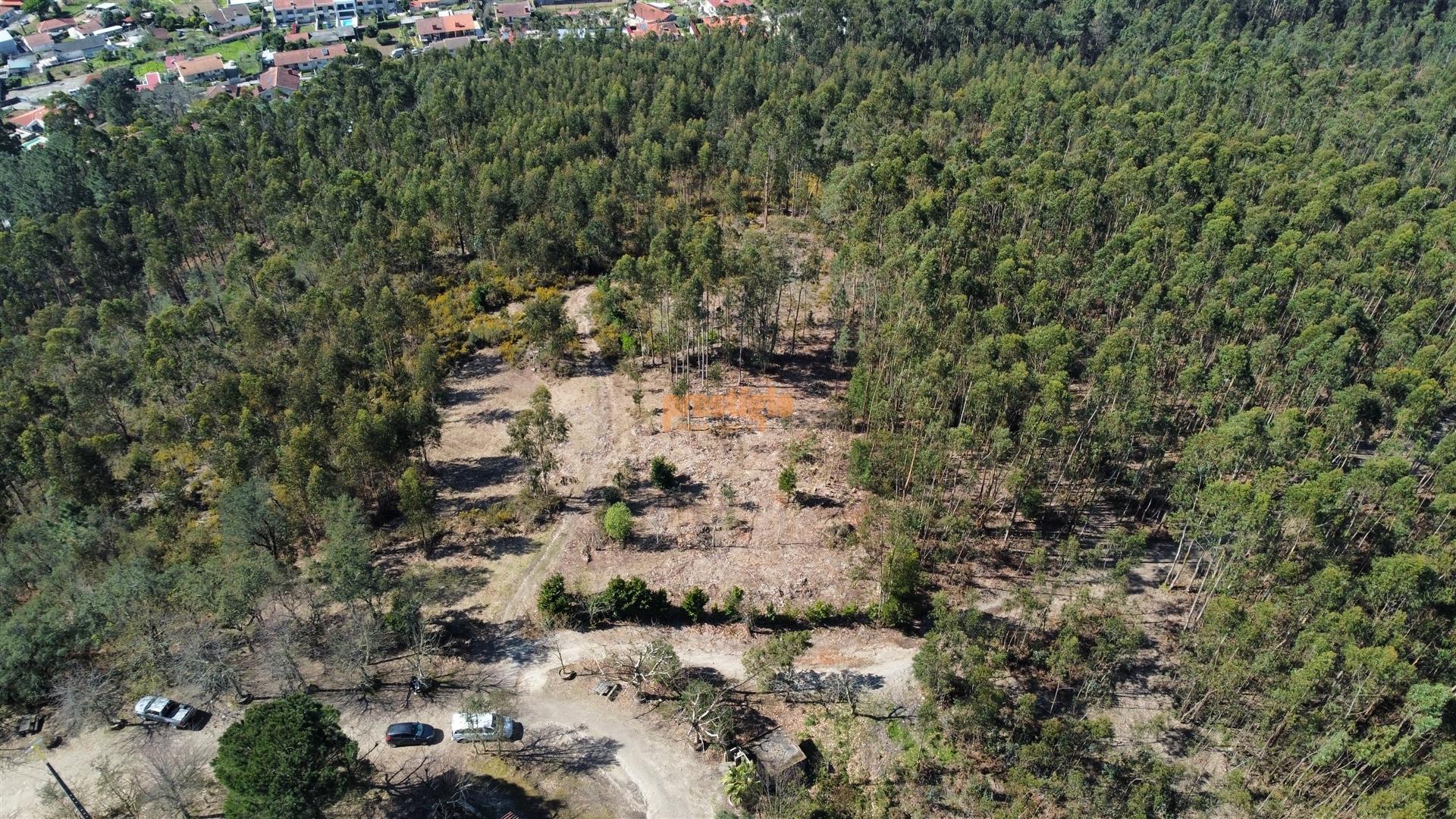 Terreno  Venda em Mire de Tibães,Braga