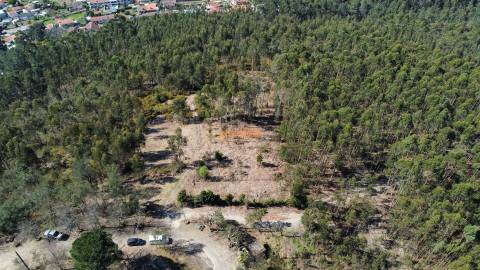 Terreno  Venda em Mire de Tibães,Braga