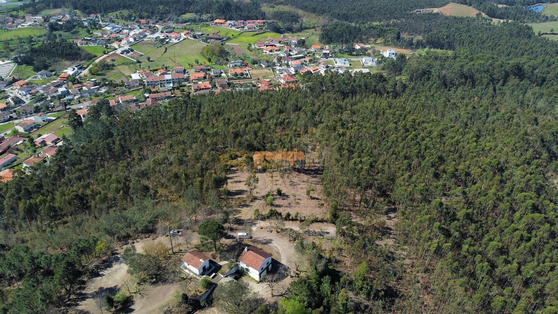 Terreno  Venda em Mire de Tibães,Braga