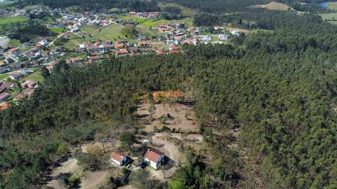 Terreno  Venda em Mire de Tibães,Braga