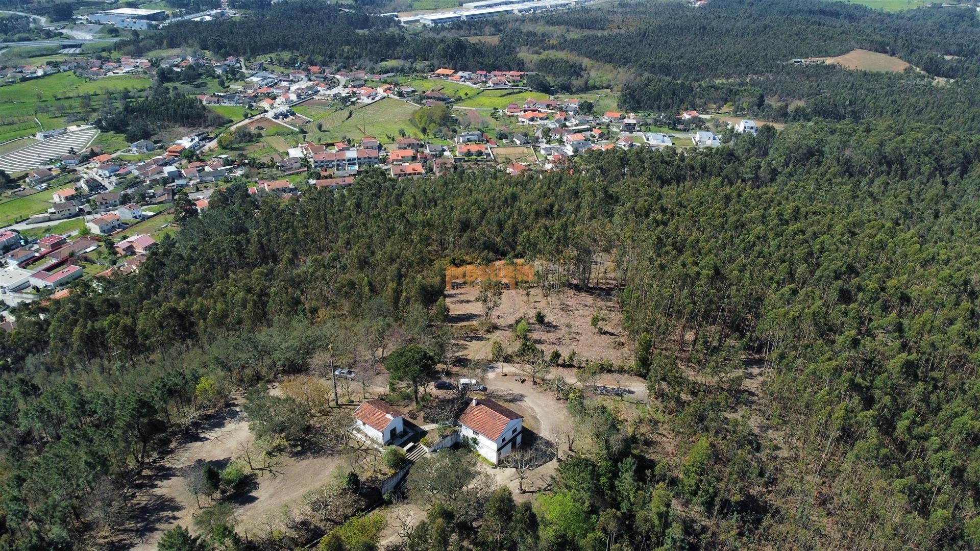 Terreno  Venda em Mire de Tibães,Braga