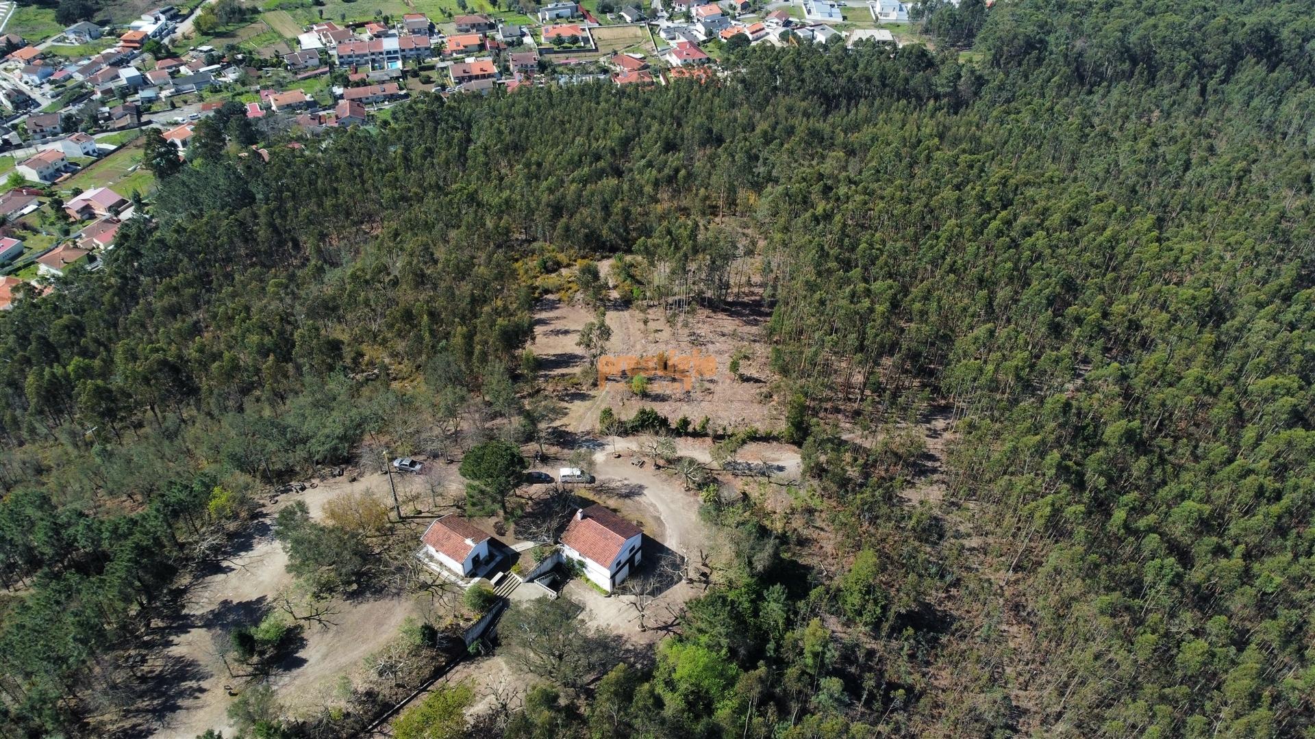 Terreno  Venda em Mire de Tibães,Braga