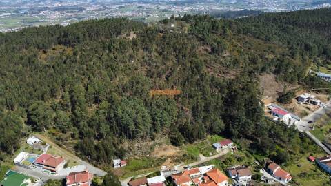 Terreno  Venda em Mire de Tibães,Braga