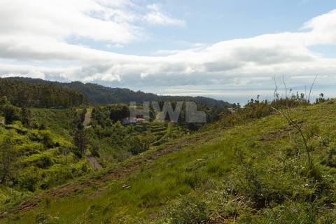 Terreno Para Construção  Venda em Santo António da Serra,Santa Cruz