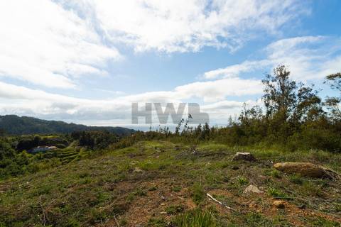 Terreno Para Construção  Venda em Santo António da Serra,Santa Cruz