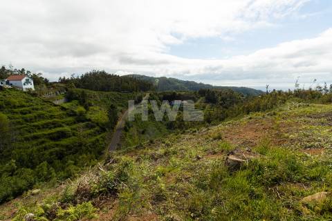 Terreno Para Construção  Venda em Santo António da Serra,Santa Cruz