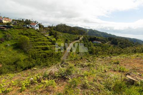 Terreno Para Construção  Venda em Santo António da Serra,Santa Cruz