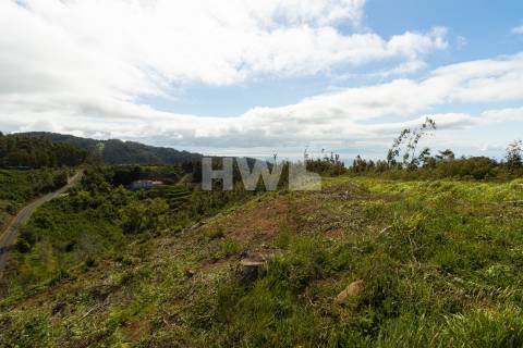 Terreno Para Construção  Venda em Santo António da Serra,Santa Cruz