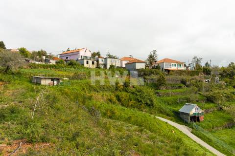 Terreno Para Construção  Venda em Santo António da Serra,Santa Cruz
