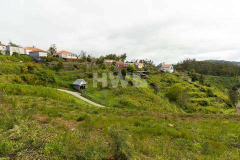 Terreno Para Construção  Venda em Santo António da Serra,Santa Cruz