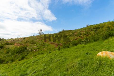 Terreno Para Construção  Venda em Santo António da Serra,Santa Cruz