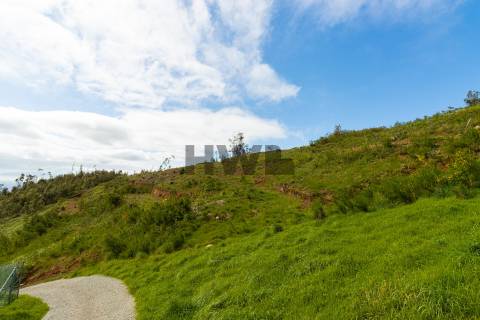 Terreno Para Construção  Venda em Santo António da Serra,Santa Cruz