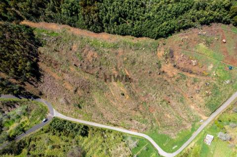 Terreno Para Construção  Venda em Santo António da Serra,Santa Cruz