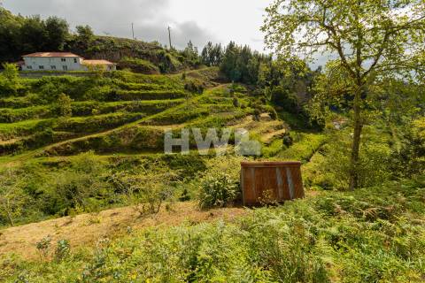 Terreno Para Construção  Venda em Santo António da Serra,Santa Cruz