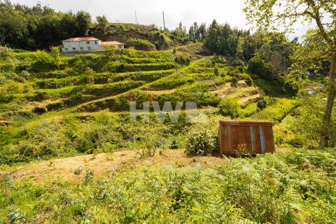Terreno Para Construção  Venda em Santo António da Serra,Santa Cruz