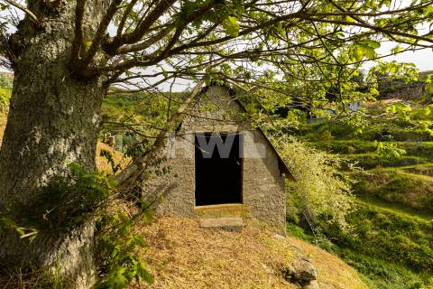 Terreno Para Construção  Venda em Santo António da Serra,Santa Cruz