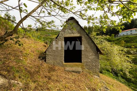 Terreno Para Construção  Venda em Santo António da Serra,Santa Cruz