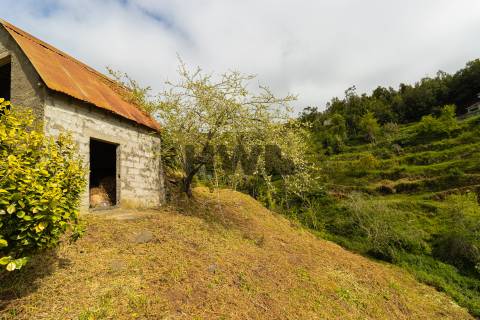 Terreno Para Construção  Venda em Santo António da Serra,Santa Cruz