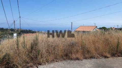 Terreno Rústico  Venda em Canhas,Ponta do Sol