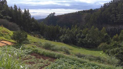 Terreno Rústico  Venda em Santa Cruz,Santa Cruz