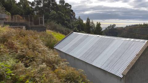 Terreno Rústico  Venda em Santa Cruz,Santa Cruz