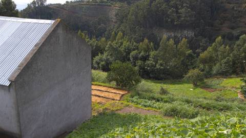 Terreno Rústico  Venda em Santa Cruz,Santa Cruz