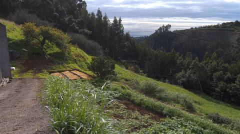 Terreno Rústico  Venda em Santa Cruz,Santa Cruz
