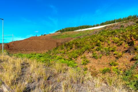 Lote de Terreno  Venda em Santa Cruz,Santa Cruz