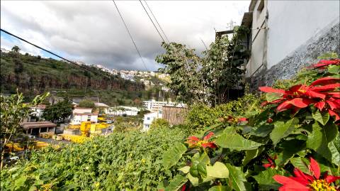 Terreno Misto T2 Venda em Imaculado Coração de Maria,Funchal