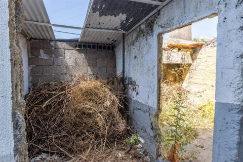 Terreno Misto T2 Venda em Imaculado Coração de Maria,Funchal