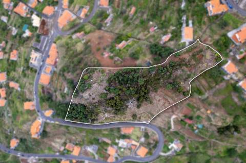 Terreno  Venda em Gaula,Santa Cruz