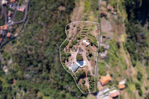 Terreno Urbano  Venda em Santa Cruz,Santa Cruz