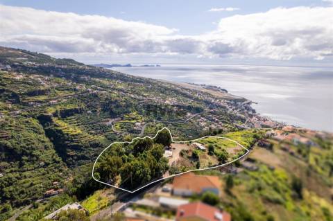 Terreno Urbano  Venda em Santa Cruz,Santa Cruz