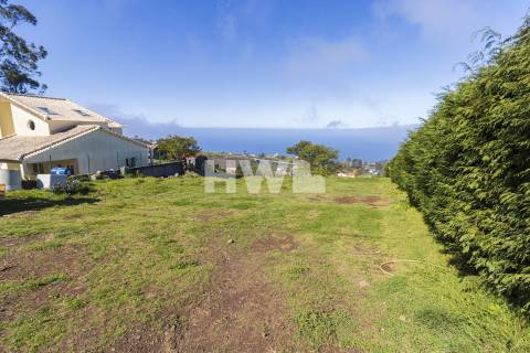 Terreno Rústico  Venda em Ponta do Pargo,Calheta (Madeira)