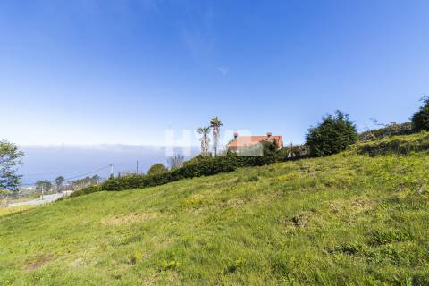 Terreno Rústico  Venda em Ponta do Pargo,Calheta (Madeira)