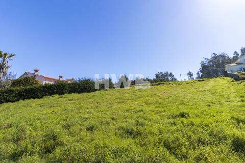 Terreno Rústico  Venda em Ponta do Pargo,Calheta (Madeira)