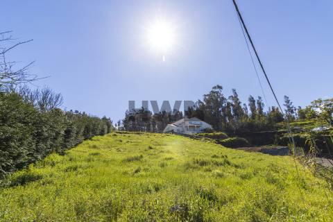 Terreno Rústico  Venda em Ponta do Pargo,Calheta (Madeira)