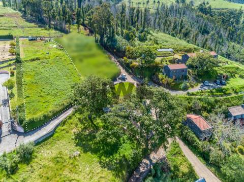 Terreno Rústico  Venda em Ponta do Pargo,Calheta (Madeira)