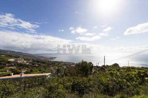 Terreno Rústico  Venda em Gaula,Santa Cruz