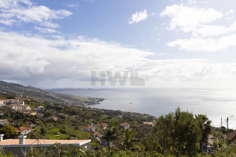 Terreno Rústico  Venda em Gaula,Santa Cruz