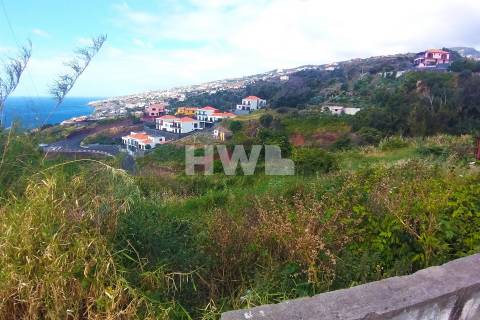 Terreno  Venda em Santa Cruz,Santa Cruz